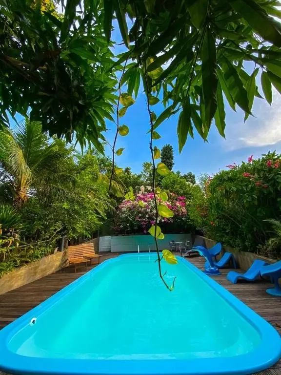 Alter do Chão pool at Hotel Borari